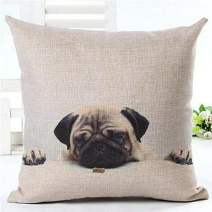 house de coussin chien carlin
