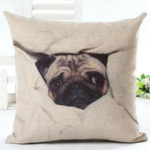 house de coussin chien carlin
