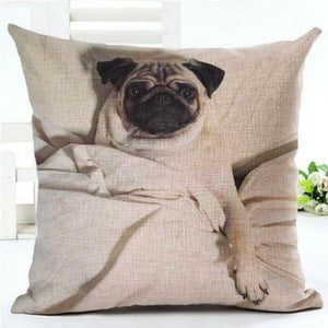 house de coussin chien carlin