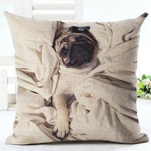 house de coussin chien carlin