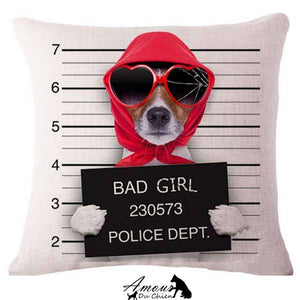 housse coussin chien