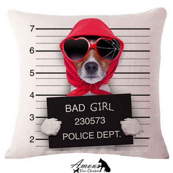 housse coussin chien