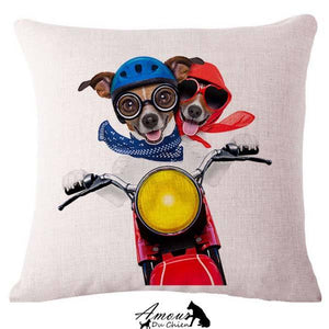 housse coussin chien