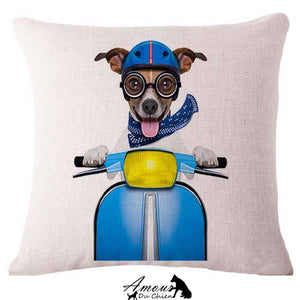 housse coussin chien