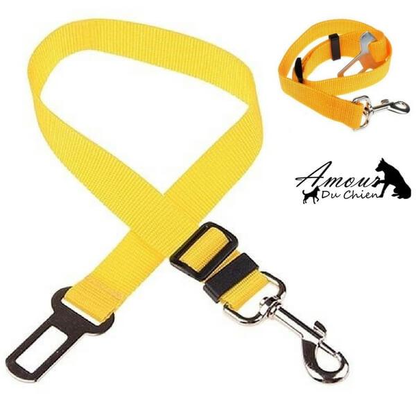 ceinture de sécurité voiture chien