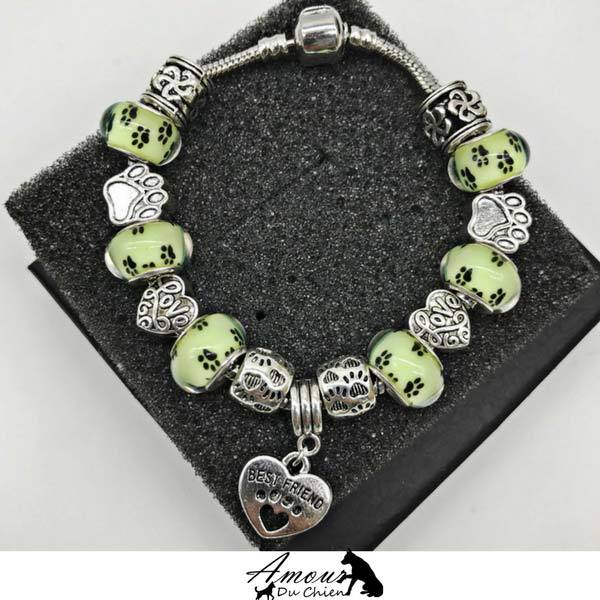 bracelet meilleurs amis homme femme et chien