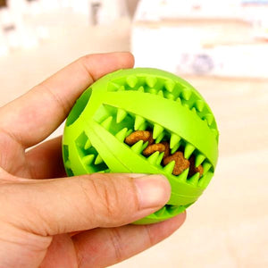 jouet chien nourriture