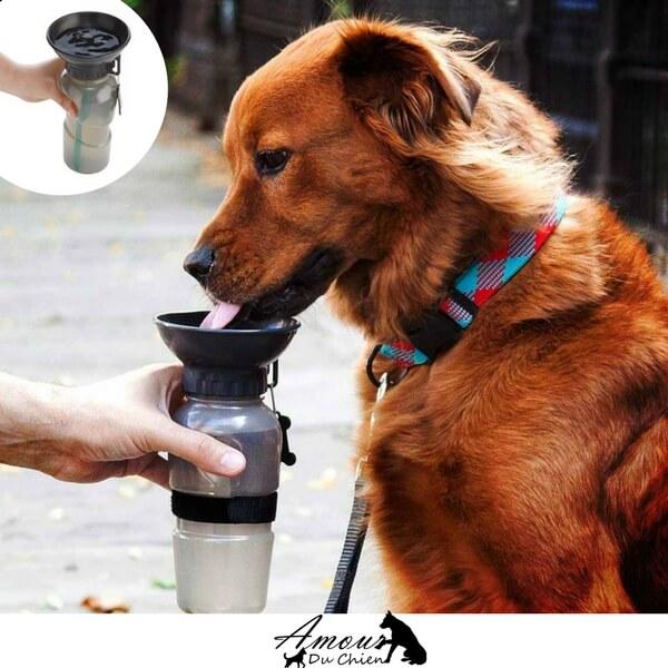 Tasse & Bouteille - 2 en 1