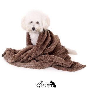 serviette bain chien
