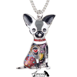 collier chien chihuahua