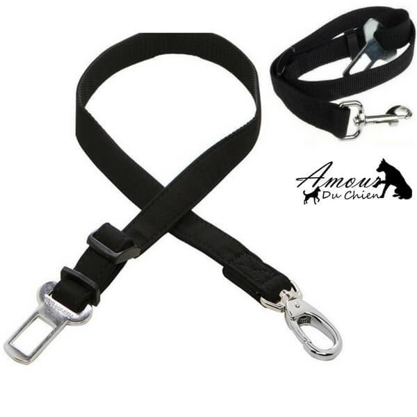 ceinture de sécurité voiture chien