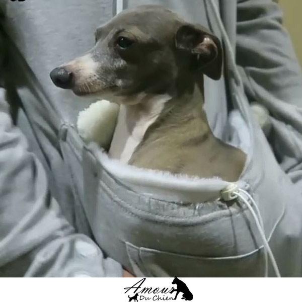 Pull Poche Kangourou & Petite Patte