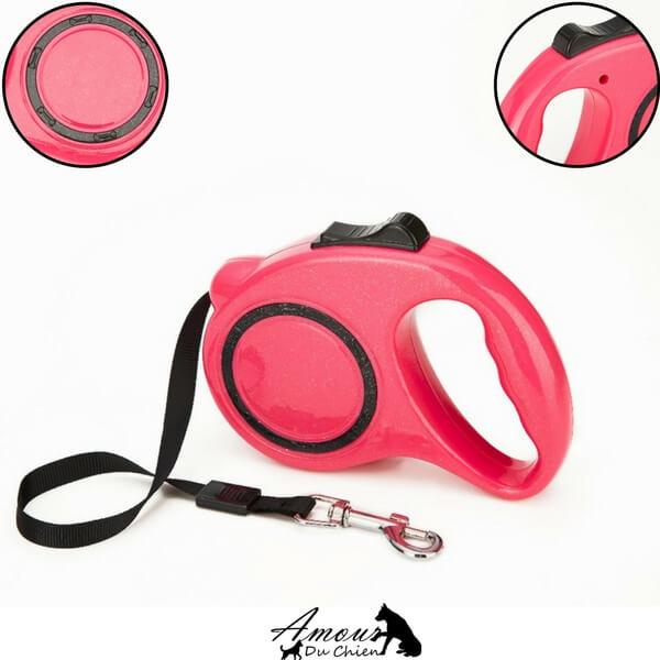laisse rétractable chien