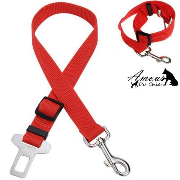 ceinture de sécurité voiture chien