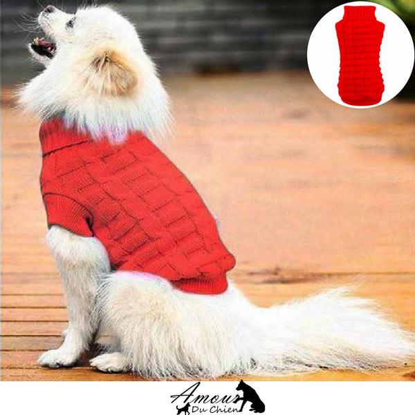 pull pour chien