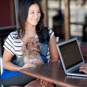 sac de transport animaux à bandoulière