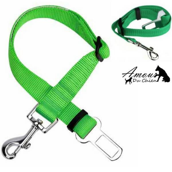 ceinture de sécurité voiture chien