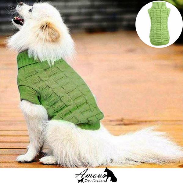 pull pour chien