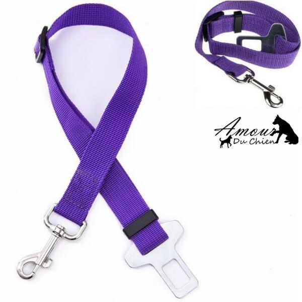 ceinture de sécurité voiture chien