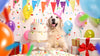 joyeux anniversaire chien