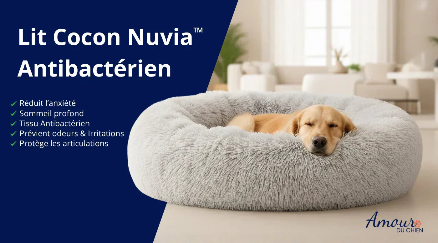 Pourquoi le lit cocon antibactérien Nuvia™ est le choix idéal pour votre chien
