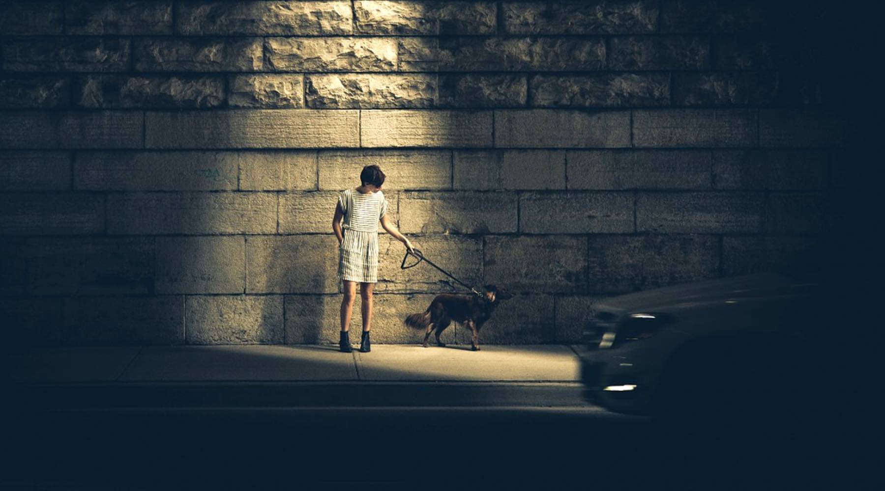 promener son chien la nuit