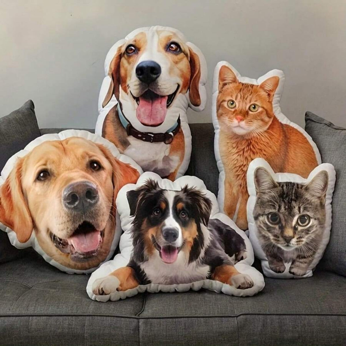 Coussins photo découpés à la forme de chiens et de chats, posés sur un canapé gris