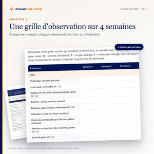 Extrait réel de la grille d'observation sur 4 semaines du bilan senior : lever, raideur, boiterie, poids