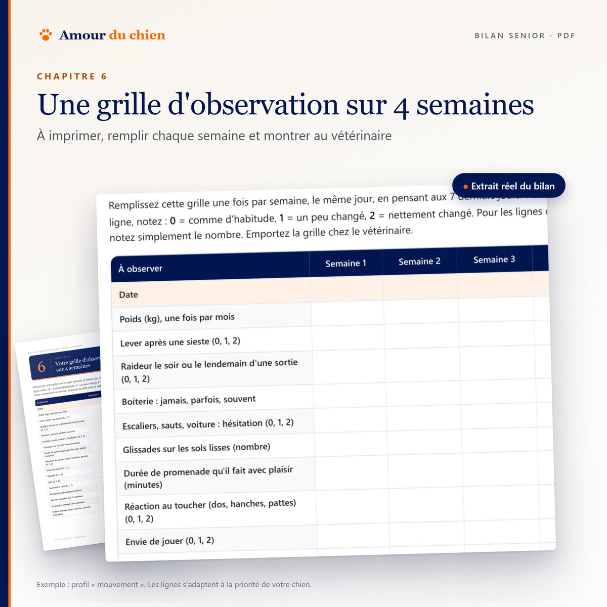 Extrait réel de la grille d'observation sur 4 semaines du bilan senior : lever, raideur, boiterie, poids