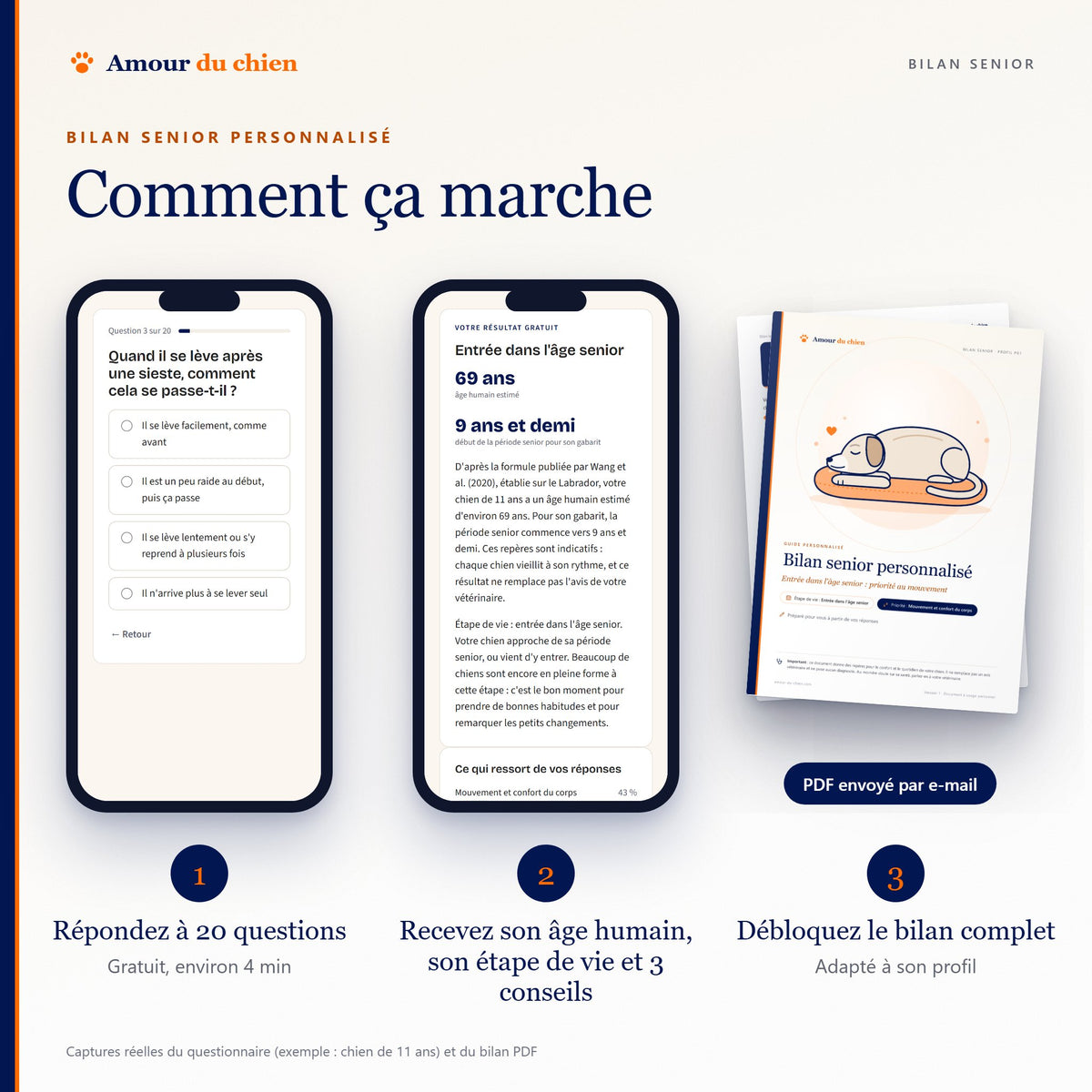 Trois étapes : quiz gratuit de 20 questions sur téléphone, résultat avec âge humain, puis bilan PDF complet