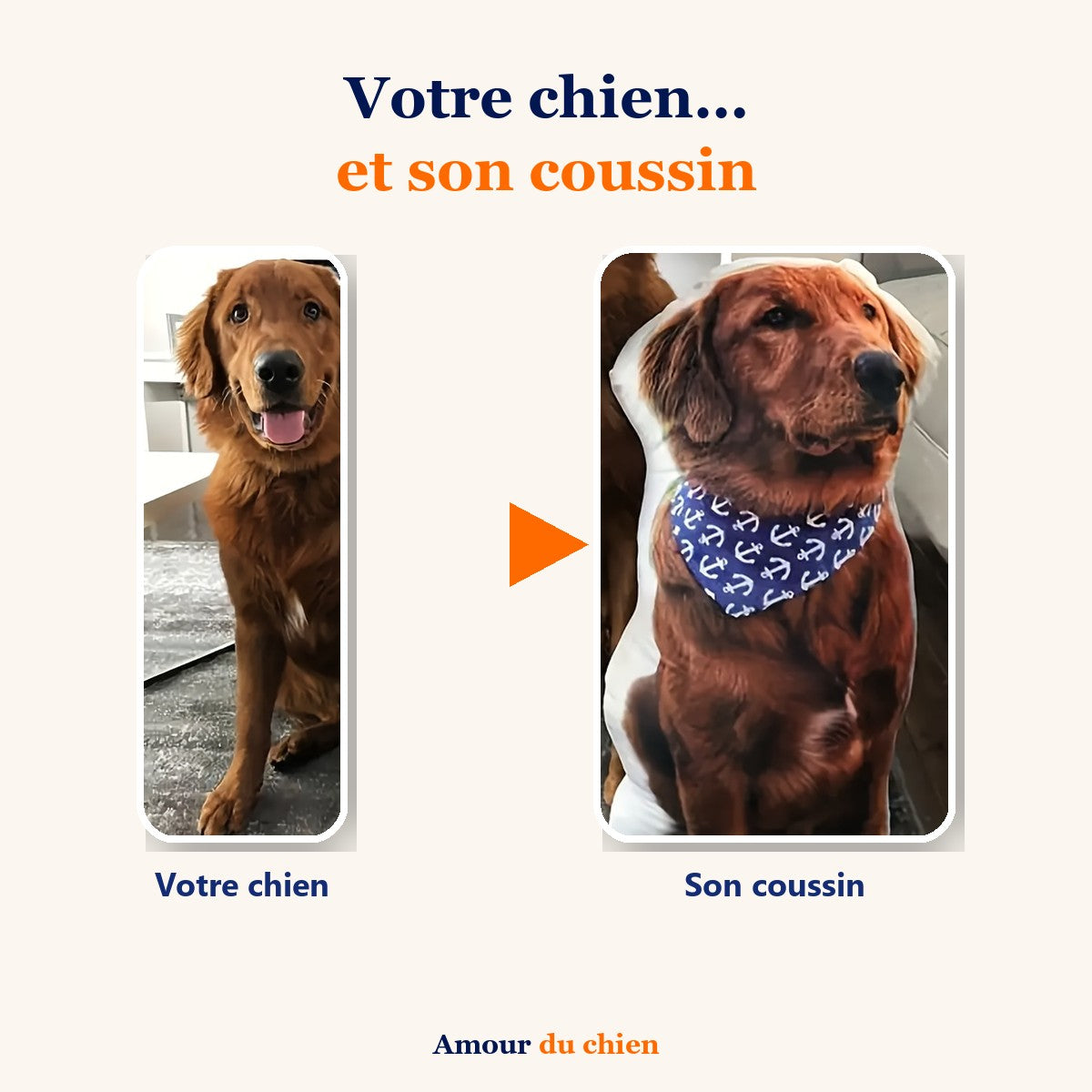 Votre chien… et son coussin : un golden retriever et le coussin découpé à sa silhouette
