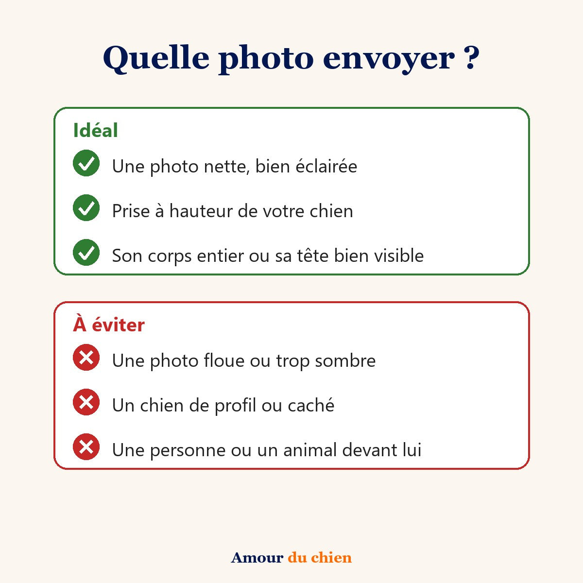 Conseils pour choisir la photo de votre chien : nette, bien éclairée, sans personne devant lui