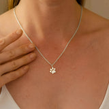 Collier Petite Patte Personnalisé