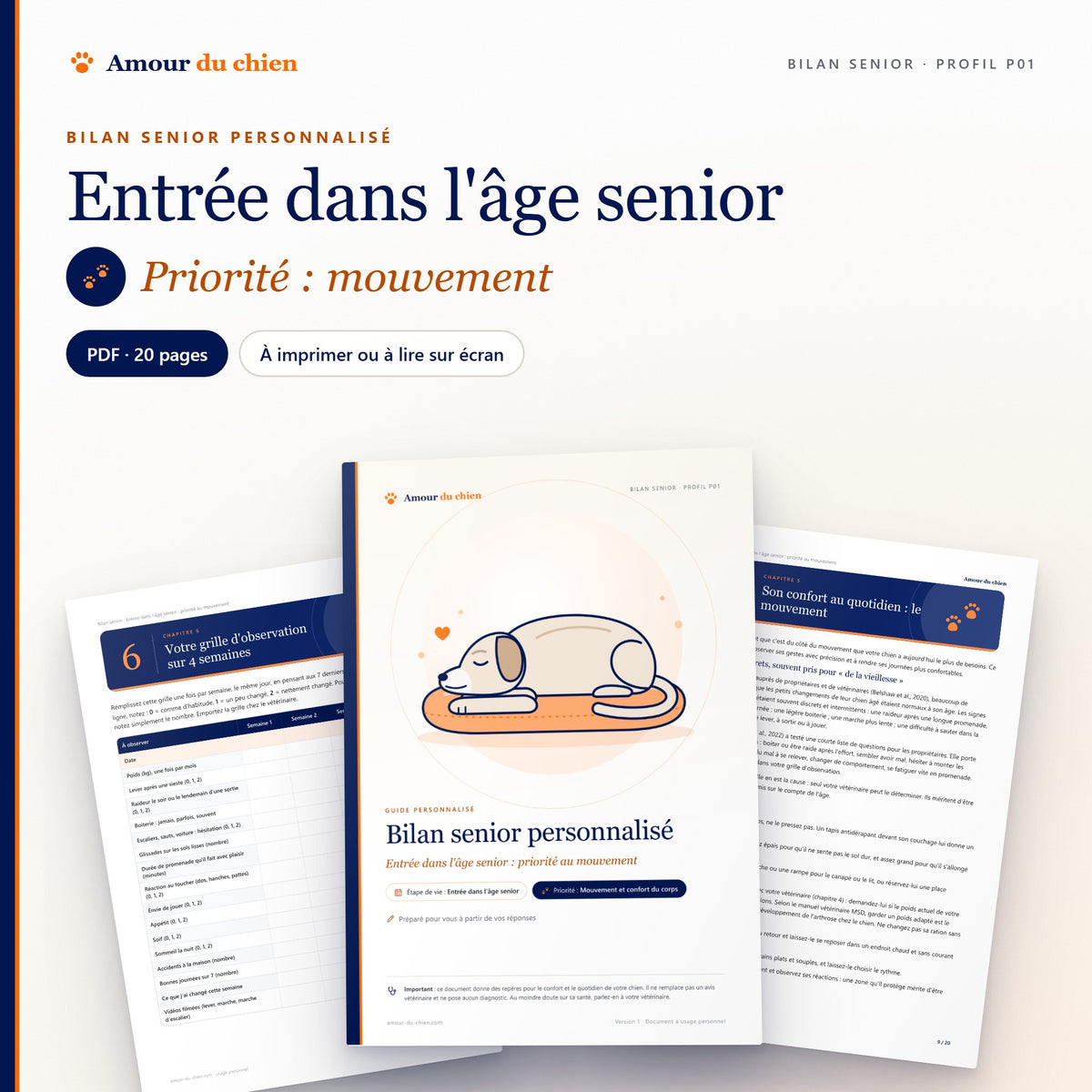 Bilan senior PDF « entrée dans l'âge senior », priorité mouvement : couverture, chapitre 5 et grille d'observation