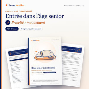 Bilan senior PDF « entrée dans l'âge senior », priorité mouvement : couverture, chapitre 5 et grille d'observation