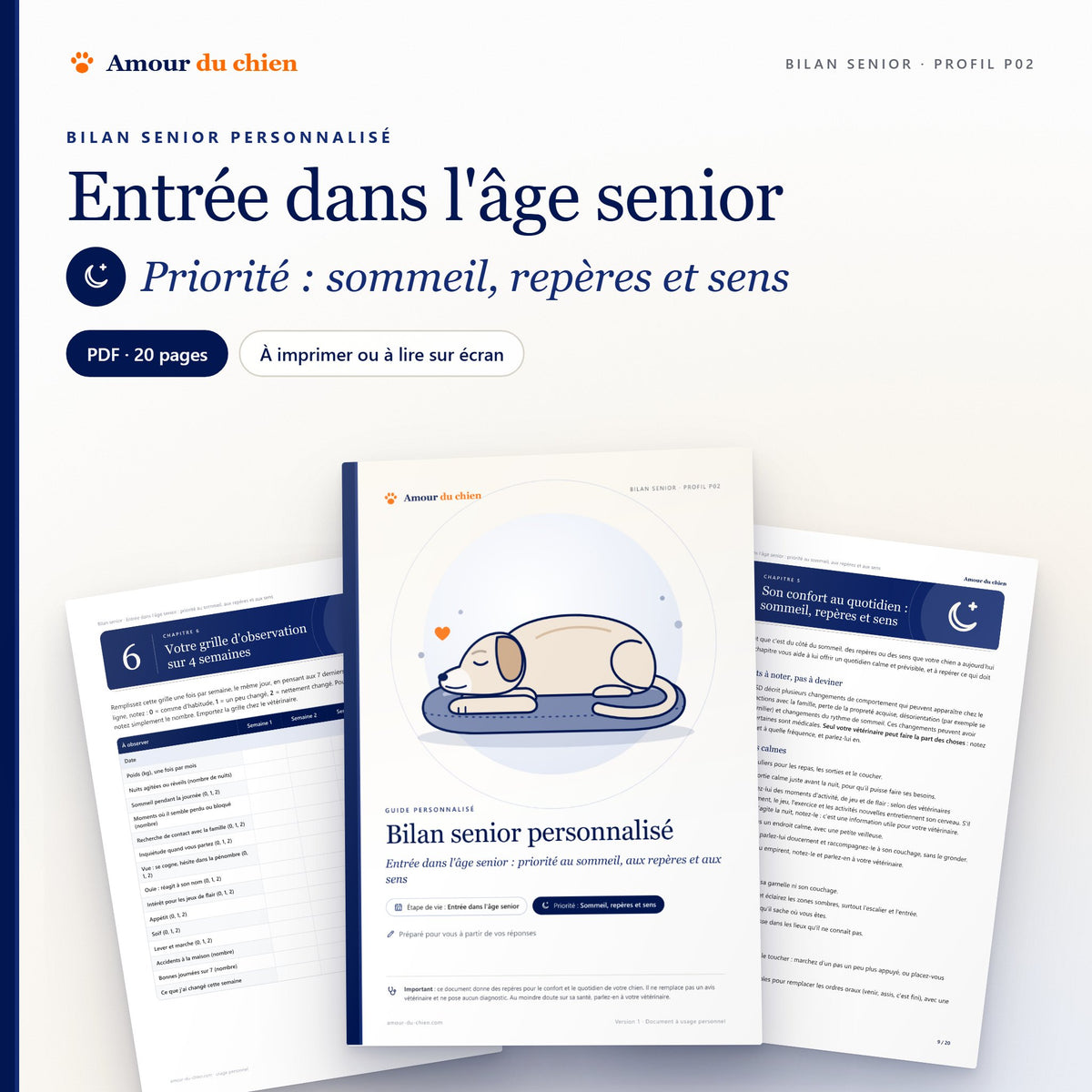 Bilan senior PDF « entrée dans l'âge senior », priorité sommeil, repères et sens : couverture, chapitre 5 et grille