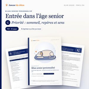 Bilan senior PDF « entrée dans l'âge senior », priorité sommeil, repères et sens : couverture, chapitre 5 et grille