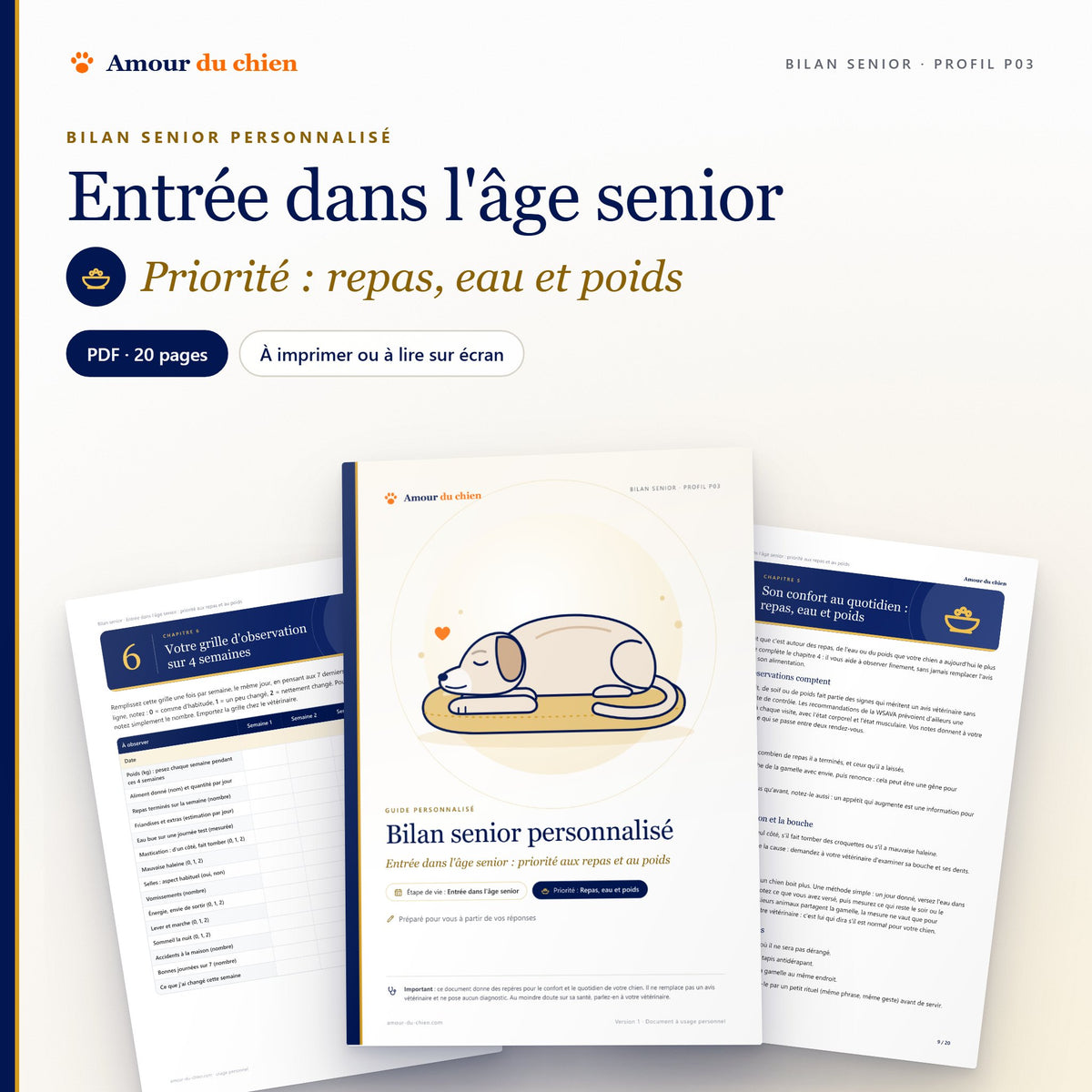 Bilan senior PDF « entrée dans l'âge senior », priorité repas, eau et poids : couverture, chapitre 5 et grille