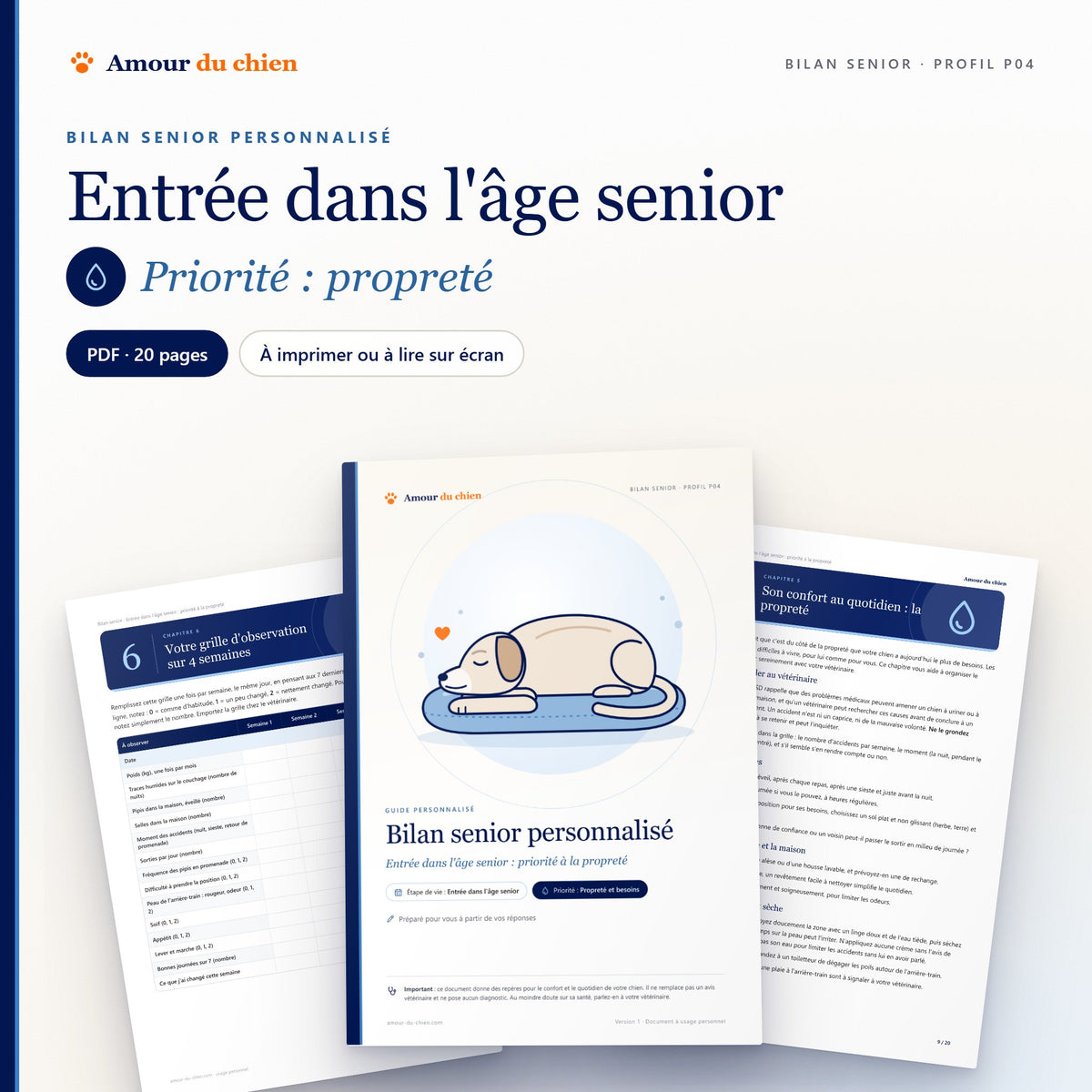 Bilan senior PDF « entrée dans l'âge senior », priorité propreté : couverture, chapitre 5 et grille d'observation