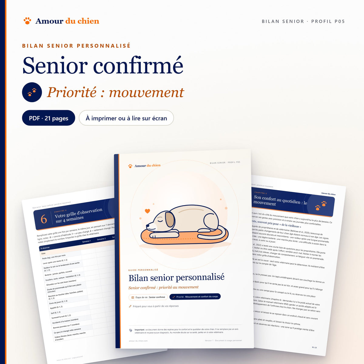 Bilan senior PDF « senior confirmé », priorité mouvement : couverture illustrée, chapitre 5 et grille d'observation