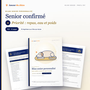 Bilan senior PDF « senior confirmé », priorité repas, eau et poids : couverture, chapitre 5 et grille d'observation
