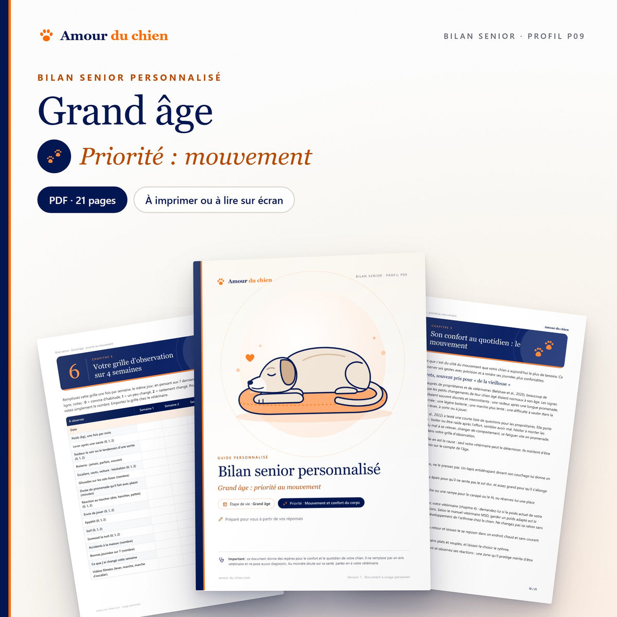 Bilan senior PDF « grand âge », priorité mouvement : couverture illustrée, chapitre 5 et grille d'observation