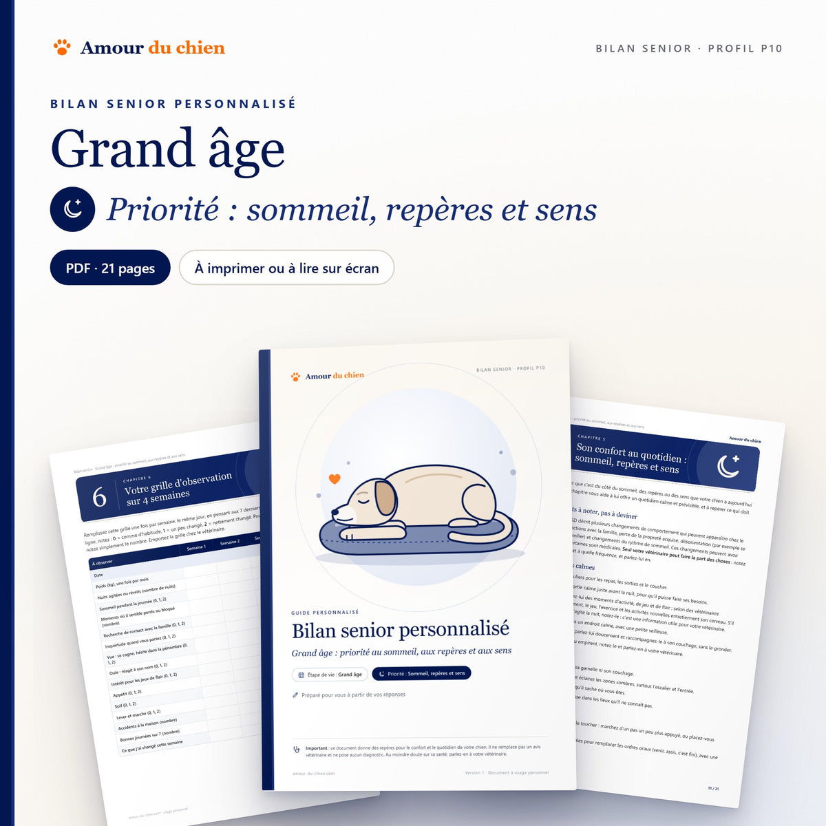 Bilan senior PDF « grand âge », priorité sommeil, repères et sens : couverture, chapitre 5 et grille d'observation