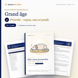 Bilan senior PDF « grand âge », priorité repas, eau et poids : couverture, chapitre 5 et grille d'observation