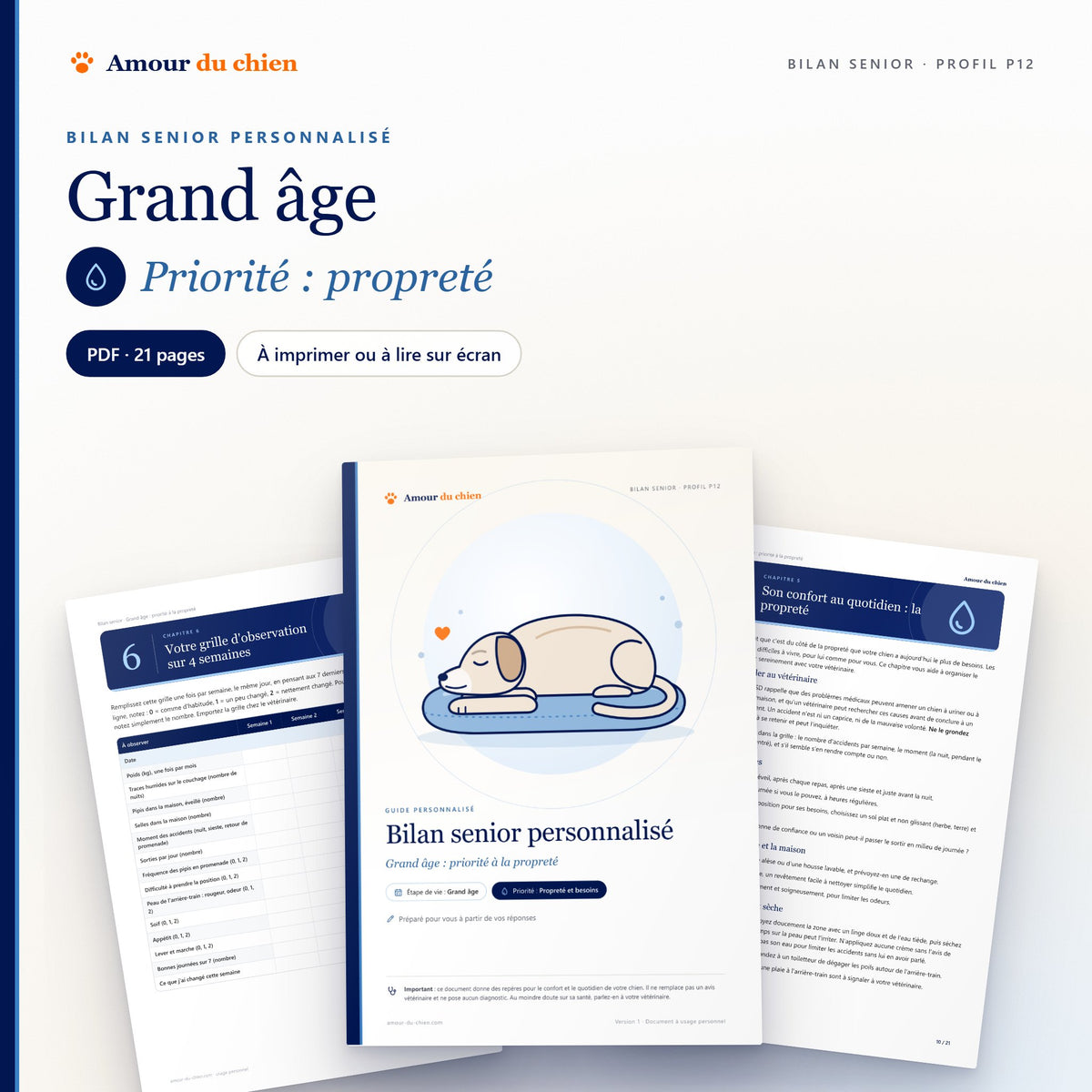 Bilan senior PDF « grand âge », priorité propreté : couverture illustrée, chapitre 5 et grille d'observation