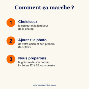 Étapes pour commander un collier gravé avec la photo de son chien