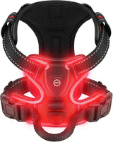 Harnais lumineux rechargeable USB pour chien, coloris rouge allumé, sangles à bandes réfléchissantes