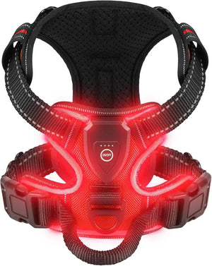 Harnais lumineux rechargeable USB pour chien, coloris rouge allumé, sangles à bandes réfléchissantes