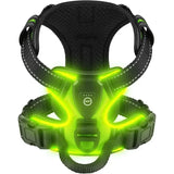 Harnais LED rechargeable pour chien, coloris vert allumé, vu de face