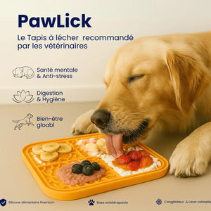 Tapis de léchage PawLick orange garni de fruits, golden retriever qui lèche